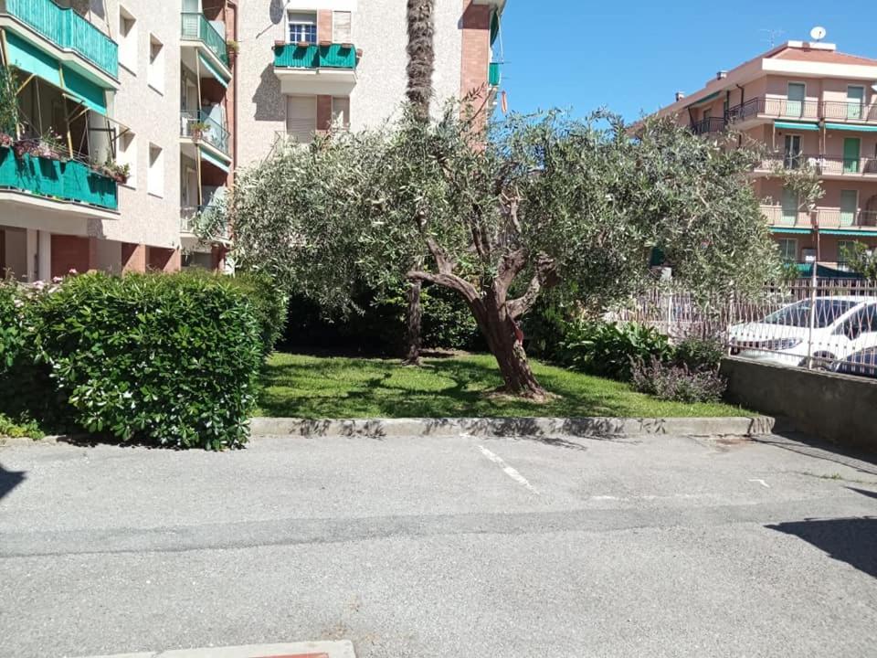 Nonna Pella Appartamenti - Corbezzolo Pietra Ligure Room photo